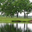 ���� ���������, �����, 50 ��� - ��������� 23 ������ 2010 � ������ �Cut�