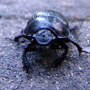 ���� �������, ������� - ��������� 10 ������ 2010 � ������ �� ����...�