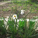 ���� �����, ��������, 55 ��� - ��������� 23 ������ 2012 � ������ �������