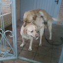 ���� ���, ������ - ��������� 30 ������ 2011 � ������ �������