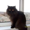 ���� �������, ����������� ����, 53 ���� - ��������� 6 ������� 2012 � ������ ���� ����������