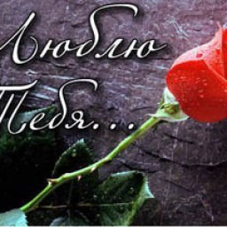 �������, ����, 55 ���