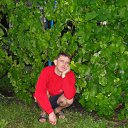  , , 50  -  1  2012   2012