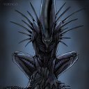  Xenomorph, , 53  -  2  2011   