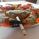 ���� �����, �������, 60 ��� - ��������� 25 ���� 2011 � ������ �������