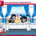  , , 45  -  9  2010   PetLove