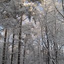 ���� Toryst, �����-���������, 53 ���� - ��������� 17 ������ 2010 � ������ ���������� ���� � ������