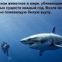 ���� �������, ����� - ��������� 4 ���� 2013 � ������ ������ ��������