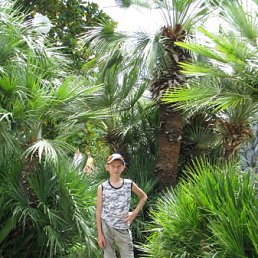 Demon, �����, 27 ���