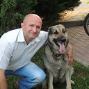 ���� ������, �����, 58 ��� - ��������� 31 ���� 2013 � ������ ���� ����������