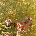 ���� ���, ����������, 37 ��� - ��������� 26 �������� 2010 � ������ ������ 2010 :))�