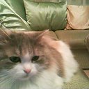 ���� Mrbublzzz, �������-���������, 30 ��� - ��������� 19 ������ 2011