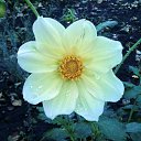 ���� ���� N, �����-���������, 59 ��� - ��������� 16 ������� 2010 � ������ ���������� ������