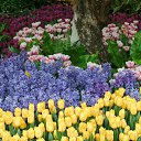 ���� ����� - ���������� ��������!!!, �����������, 56 ��� - ��������� 4 ������ 2010 � ������ �����ۻ