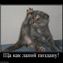 ���� �������, ������, 39 ��� - ��������� 23 ������� 2010 � ������ ��������������