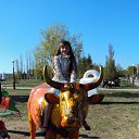 ���� Jenek, ��������, 24 ���� - ��������� 10 ��� 2010 � ������ ���� ����������