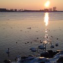 ���� �����, �����������, 52 ���� - ��������� 18 ��� 2012