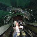 ���� ���������, ������, 35 ��� - ��������� 28 ��� 2013 � ������ ���� ����������