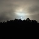 ���� ˸��, �������, 55 ��� - ��������� 20 ���� 2010 � ������ �������