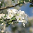 ���� �����, ��������, 45 ��� - ��������� 3 ������� 2010 � ������ ����� �������