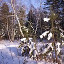 ���� �����, ���������, 49 ��� - ��������� 17 ����� 2012