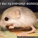 ���� ��������, ������������, 49 ��� - ��������� 24 ����� 2011 � ������ ���������