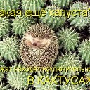  ..., --, 62  -  29  2012   