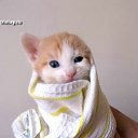    )))), , 47  -  15  2009   .