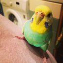 ���� �������, �����-���������, 41 ��� - ��������� 1 ���� 2013 � ������ ����� ��� ������������