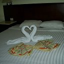 ���� ������, �������, 62 ���� - ��������� 1 ������ 2012 � ������ �������