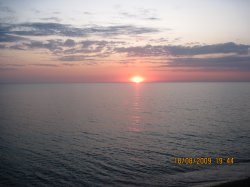 ���� ������, ����, 44 ���� - ��������� 7 ������� 2012