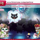 ���� ������ (������ �������), ������ ��������, 45 ��� - ��������� 8 ����� 2011 � ������ �PetLove�