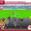  Nd,   -  14  2010   PetLove