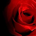 ���� ���������, ���������������, 54 ���� - ��������� 5 ������� 2011