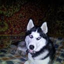 ���� �������, ������������, 42 ���� - ��������� 6 ������� 2012 � ������ ���� ����� � ���-�������.�