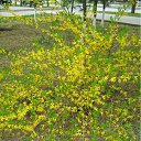 ���� ���� ����, ����������, 50 ��� - ��������� 19 ����� 2010 � ������ ������-2009�