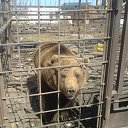 ���� Ihar., �����, 53 ���� - ��������� 9 ������ 2013 � ������ �Foto Sympathy�