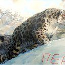  ir@ge))) ))), , 47  -  29  2012   