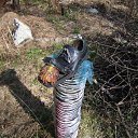 ���� �����, ����� - ��������� 27 ��� 2010 � ������ ������ � ��