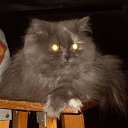 ���� Lana, ������, 61 ��� - ��������� 22 ������� 2009 � ������ �������