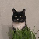 ���� ����, �����������, 75 ��� - ��������� 26 ��� 2012