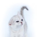 ���� �������, �������� - ��������� 19 ������ 2012 � ������ ���� ����������