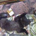 ���� ������, ������, 46 ��� - ��������� 30 �������� 2011