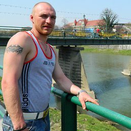 ����, ����������, 37 ���