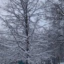 ���� �������, ������, 67 ��� - ��������� 11 ����� 2012 � ������ ���� ����������