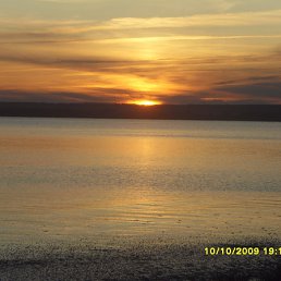 ���� �����, �������, 33 ���� - ��������� 16 �������� 2011