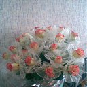 ���� �������, �����������, 40 ��� - ��������� 13 ����� 2012