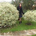 ���� ����, �����, 56 ��� - ��������� 3 ������� 2011 � ������ �� ����������