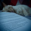 ���� �����, ������������ - ��������� 22 ��� 2012 � ������ ���� ����������