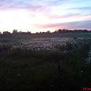 ���� ���������, ��������, 41 ��� - ��������� 6 ������ 2010 � ������ �������� ������ �����